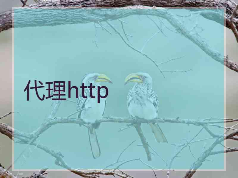代理http 代理http